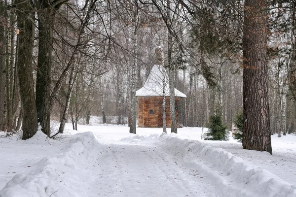 Istra Regione Mosca Russia Sentiero Nel Bosco Fino Alla Cappella — Foto Stock