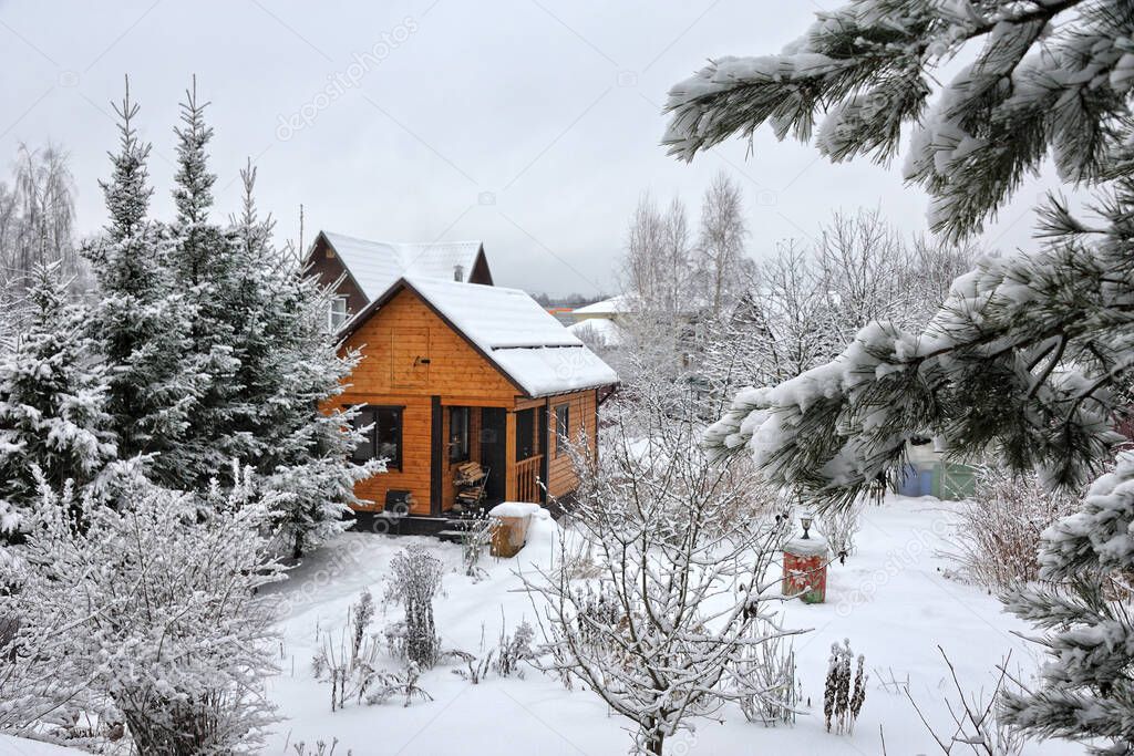 View on a wooden guest house-banya framed by trees after snowfall at the beginning of 2021. Russian dacha (countryside residence), Moscow Region.