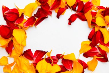 kırmızı ve sarı taç yapraklarından oluşan bir çerçeve.