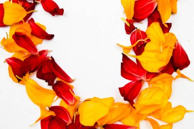 kırmızı ve sarı taç yapraklarından oluşan bir çerçeve.