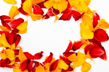 kırmızı ve sarı taç yapraklarından oluşan bir çerçeve.