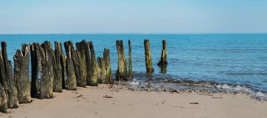 Kumlu sahilde ahşap kazıklar Mavi deniz ve gökyüzüne karşı