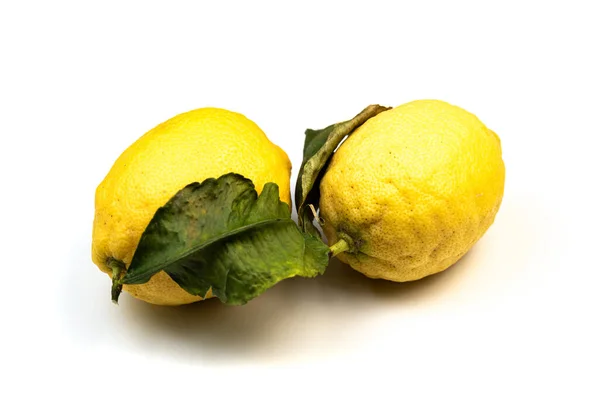 Amalfi lemons on white background — Stock Photo, Image