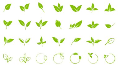 Yeşil yaprak koleksiyonu, logolar ve semboller için tasarım elementleri