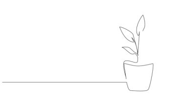 saksı bitkisinin sürekli çizimi, çizgi sanat animasyonu