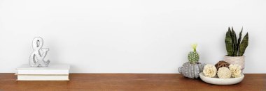 Ev dekorasyonu ve ev bitkileri bir rafta. Beyaz bir duvara karşı ahşap bir raf. Kopyalama alanı olan pankart.