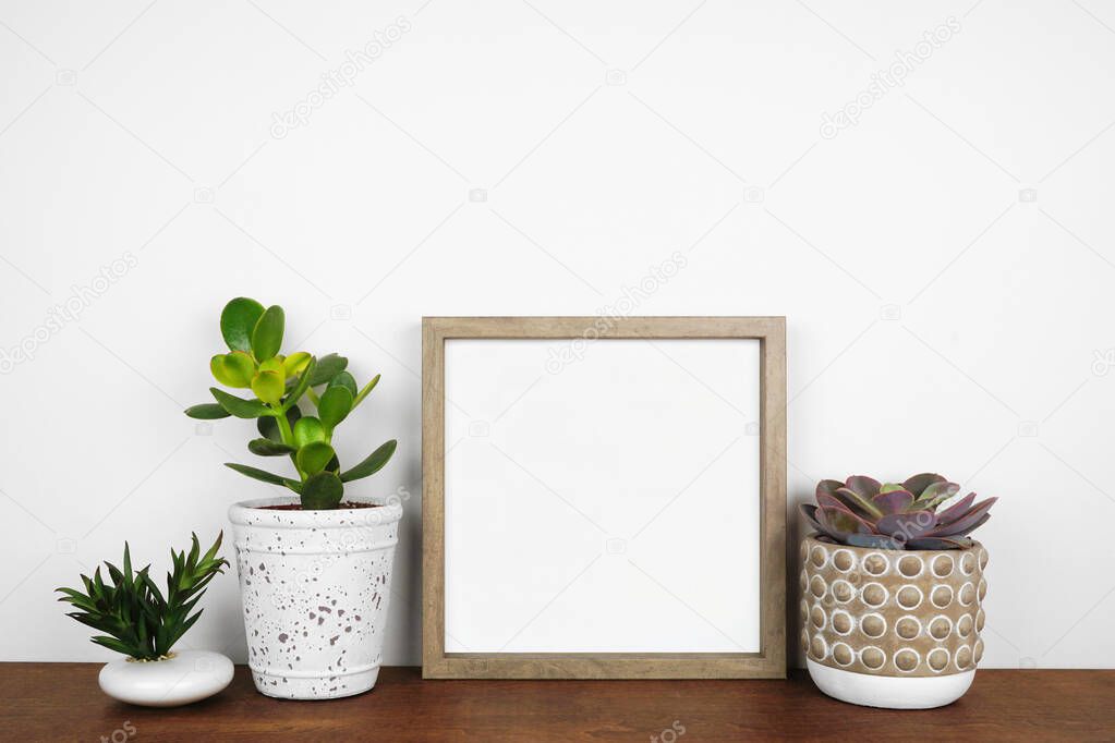 Mock up wood square frame with a variety of succulent plants. Wooden shelf against a white wall. Copy space.