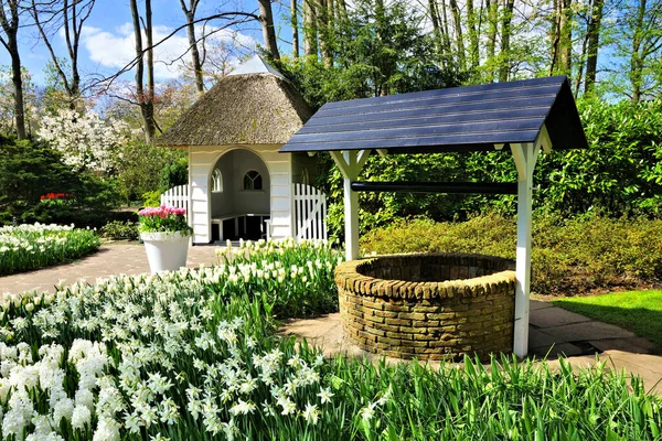 Traditionelle Holländische Windmühle Entlang Eines Kanals Mit Rosa Tulpenblüten Vordergrund — Stockfoto