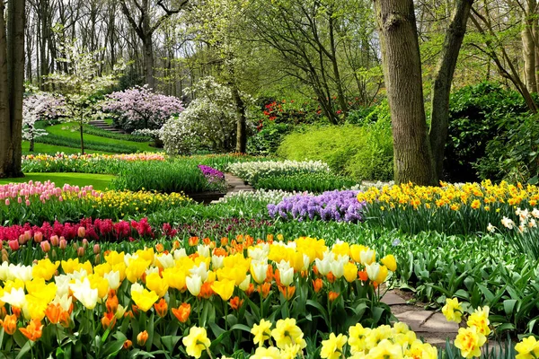 Farbenfrohe Frühlingsblumen Den Wunderschön Angelegten Gärten Von Keukenhof Niederlande — Stockfoto