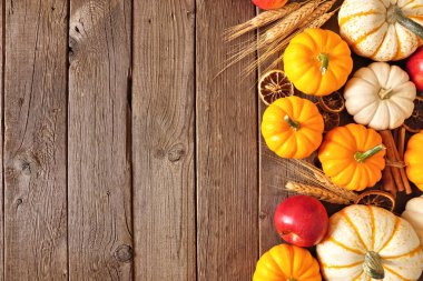 Balkabaklarının, elmaların ve baharatların sonbahar kenarı. Kopyalama alanı olan kırsal koyu ahşap arkaplan üzerindeki üst görünüm.