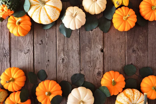 Herbst Doppelborte Aus Kürbissen Und Eukalyptusblättern Vor Rustikalem Dunklen Holzhintergrund — Stockfoto