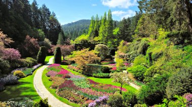 Butchart Gardens, Victoria, Kanada. Bahar boyunca batık bahçenin güzel çiçeklerine bak..
