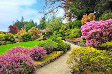 Bahar boyunca Butchart Gardens, Victoria, Kanada 'nın güzel çiçek açan ağaçlarının ve çalılarının arasındaki patika.