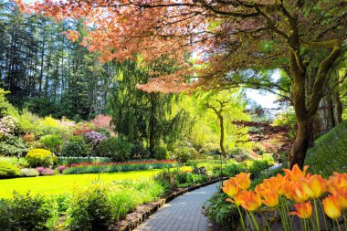 Butchart Gardens Çiçekleri, Victoria, Kanada. Batık bahçede baharın güzel renkleri arasında bir patika..