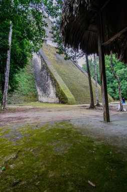 Tikal Guatemala Maya tapınaklardan