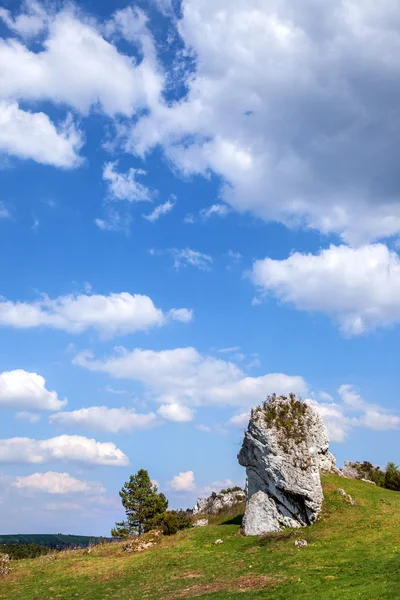 Pedras calcárias jurássicas - Jura polaca . — Fotografia de Stock