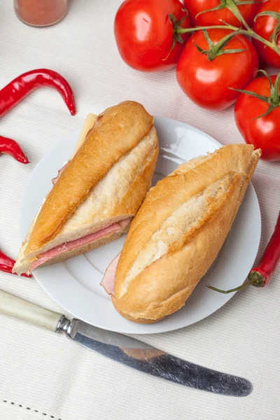 Sanduíche panini italiano. — Fotografia de Stock