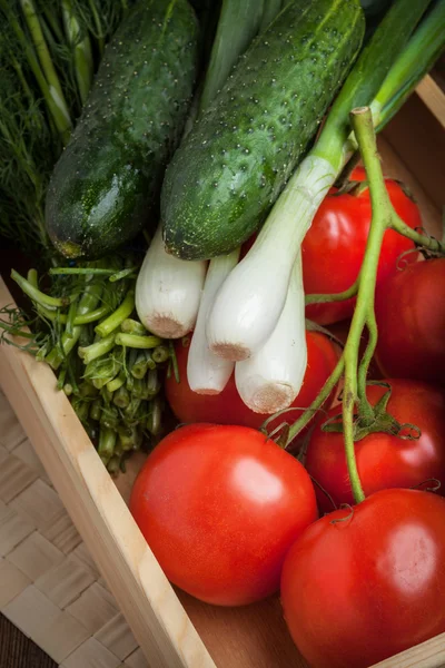 Frisches Gemüse aus dem heimischen Garten. — Stockfoto