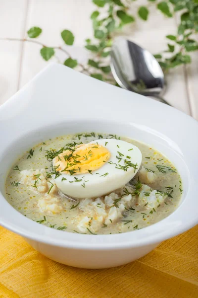 Zuppa di acetosa con uovo in ciotola bianca . — Foto Stock