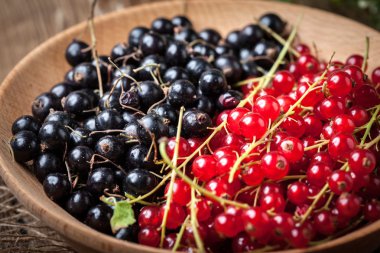 Somun ve blackcurrant kase.