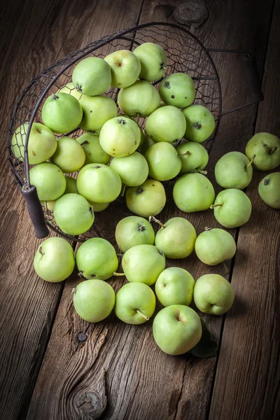 Green apples in a metal basket. — Stock Photo, Image