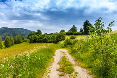 Bieszczady Dağlar peyzaj. 