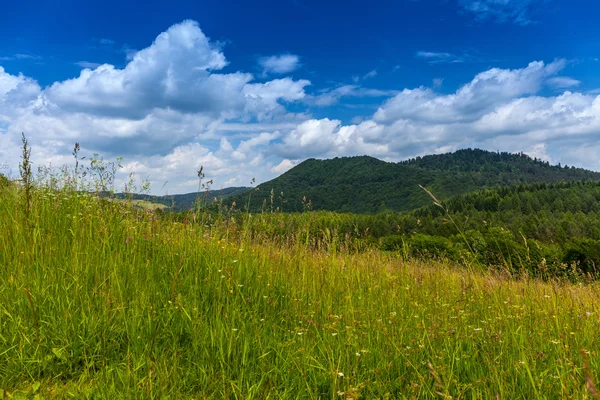 Landschaft im Bieszczady-Gebirge. — Stockfoto