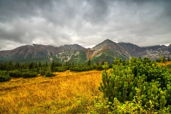 Paisagem de montanha em um dia nublado. — Fotografia de Stock