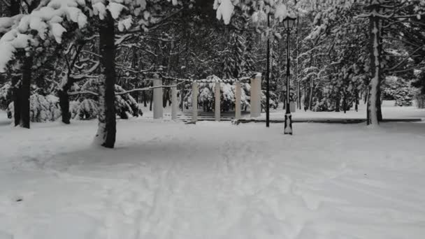 구름낀 겨울날 도시의 공원에서 그리며 — 비디오