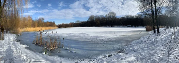 Ein Zugefrorener See Stadtpark — Stockfoto
