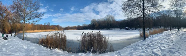 Замерзшее Озеро Городском Парке — стоковое фото