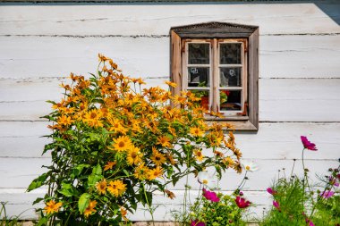 WASILKOW, POLAND - 09.2019 AĞUSTOS: Podlasie Halk Kültür Müzesi.