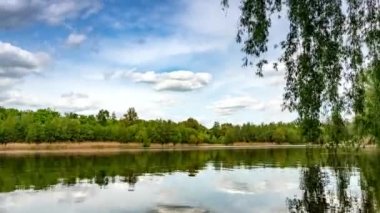 Güneşli bir yaz gününde, huzurlu gölün kıyılarında yeşil ağaçlar büyüyor..