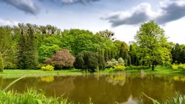 Peyzajlı gölet, ağaçlar ve mavi gökyüzü ile yeşil kentsel park.
