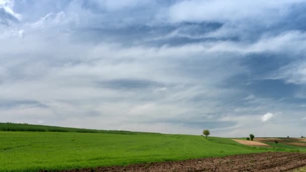 Modrá Obloha Pohybujícími Mraky Timelapse — Stock video