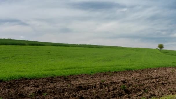 Ciel Bleu Avec Des Nuages Mouvement Timelapse — Video