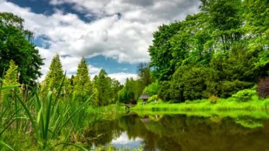 Güneşli bir yaz gününde, huzurlu gölün kıyılarında yeşil ağaçlar büyüyor..