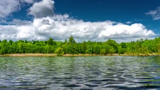 Zelené Stromy Rostoucí Březích Klidného Jezera Slunečného Letního Dne Parku — Stock video