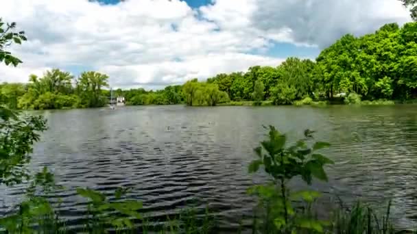 Arbres Verts Poussant Sur Les Rives Lac Paisible Par Une — Video
