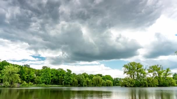 公園の晴れた夏の日に平和的な湖のほとりに成長する緑の木 — ストック動画