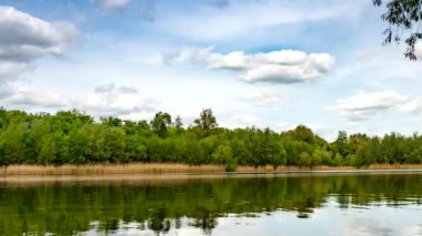 Güneşli bir yaz gününde, huzurlu gölün kıyılarında yeşil ağaçlar büyüyor..