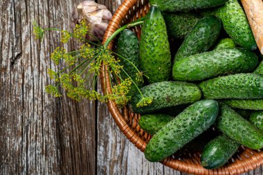 Fresh cucumbers from your home garden in a wicker basket.