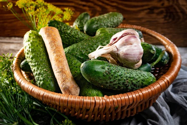 Fresh Cucumbers Your Home Garden Wicker Basket — Stockfoto