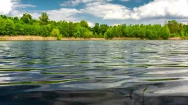 Güneşli bir yaz gününde, huzurlu gölün kıyılarında yeşil ağaçlar büyüyor..