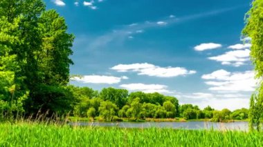 Güneşli bir yaz gününde, huzurlu gölün kıyılarında yeşil ağaçlar büyüyor..