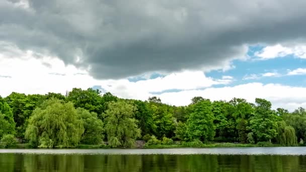 Arbres Verts Poussant Sur Les Rives Lac Paisible Par Une — Video