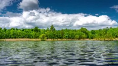 Güneşli bir yaz gününde, huzurlu gölün kıyılarında yeşil ağaçlar büyüyor..