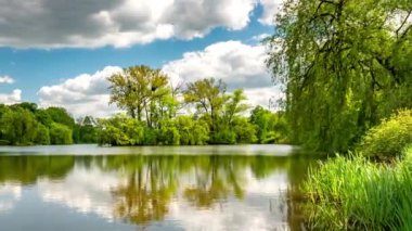 Peyzajlı gölet, ağaçlar ve mavi gökyüzü ile yeşil kentsel park.
