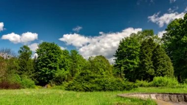 Mavi Gök Altında Yeşil Park.