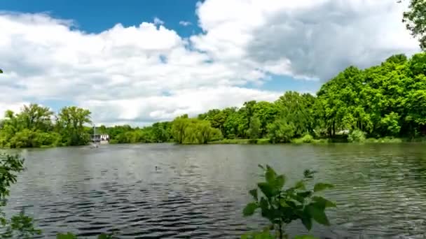 Arbres Verts Poussant Sur Les Rives Lac Paisible Par Une — Video